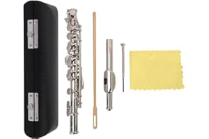 Dilwe Flute Instrument, 16 Hole Silver Plated C Piccolo With Screwdriver PU Leather Box Cleaning Tool Set, Detachable Piccolo Instrument for Beginners Students with Hard Case(Silver)