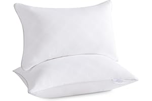 Oubonun 16x24 Inches Pack of 2 Throw Pillows Inserts, White Square Cushion Inner Soft Fluffy Plump Stuffer Pillows Inserts fo