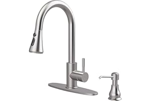 Kitchen Faucet with Soap Dispenser (Brushed Nickel)