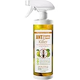 EcoVenger Ant Killer & Crawling Insect Killer (Citrus Scent) 16 oz, Kills Fast in Minutes, Also Kills Spiders, Centipedes & More, Repels with Residual, Natural & Non-Toxic, Safe for Children & Pets