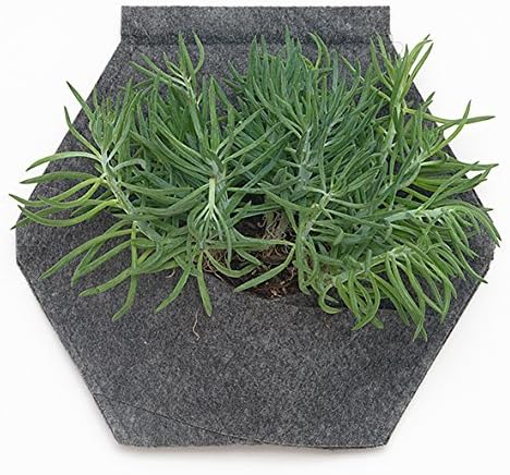 Jardín vertical. Pack de 4 Sacos Orgánico Mh (30x30x15cm) + Manual ...