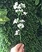 Nnty Gluck 12pcs Artificial Flowers Gypsophila Baby's Breath Bouquet Silk Baby Breath Flowers for Home Wedding Party Decorations Pretty Flowers