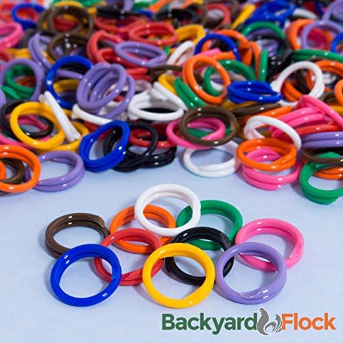 100 Pack Spiral Chicken Poultry Leg Bands Rings - #11 11/16" size - Mixed Colors (100)