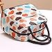 RALMALL Lunch Bag Waterproof Picnic Tote Bag Lunch Cooler Bag Lunch Holder Container Travel Zipper Organizer Box for Women Men