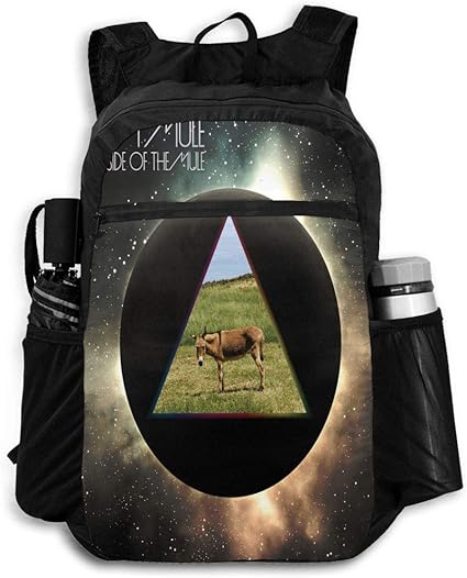 the goat bag sports backpack with portable usb charging port