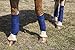 Intrepid International Polo Wraps for Horses Set of 4 Cotton Bandage Wrap, Horse Leg Wraps, Vet Wrap for Horses, Horse Size, Exercise Training Bandage