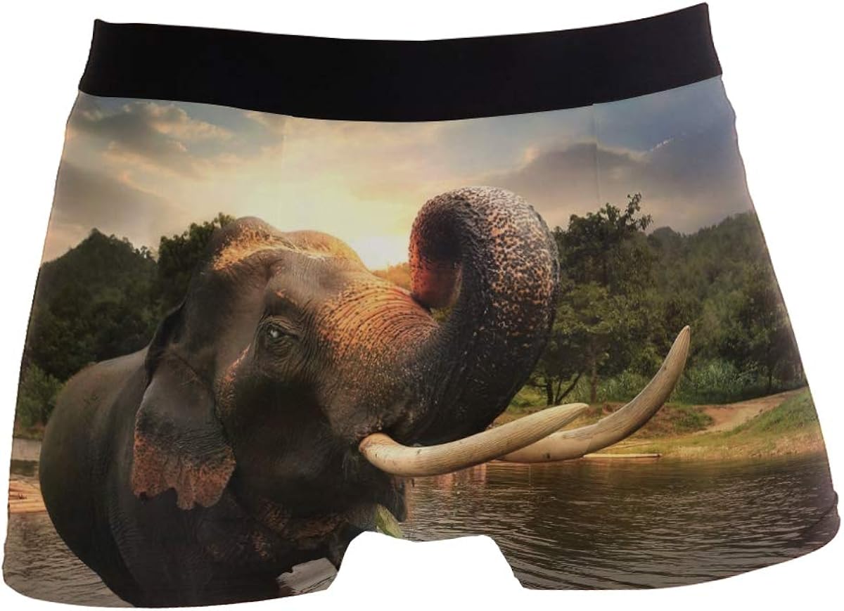 African Elephant Sunset River Men's Underwear Soft Polyester Boxer