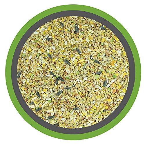 Meine Hennen HENNEN VITAL 15 kg, Premium Hühnerfutter und Wachtelfutter, Körnerfutter, Geflügelfutter, Hennenfutter, Alleinfutter für Hühner, Wachteln, Legehennen