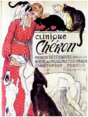 18"x24" Poster for home decoration.Woman with dogs and cats.12788