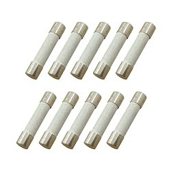 YOLISTIC (Pack of 10) 10 Amp Slow-Blow Time Delay