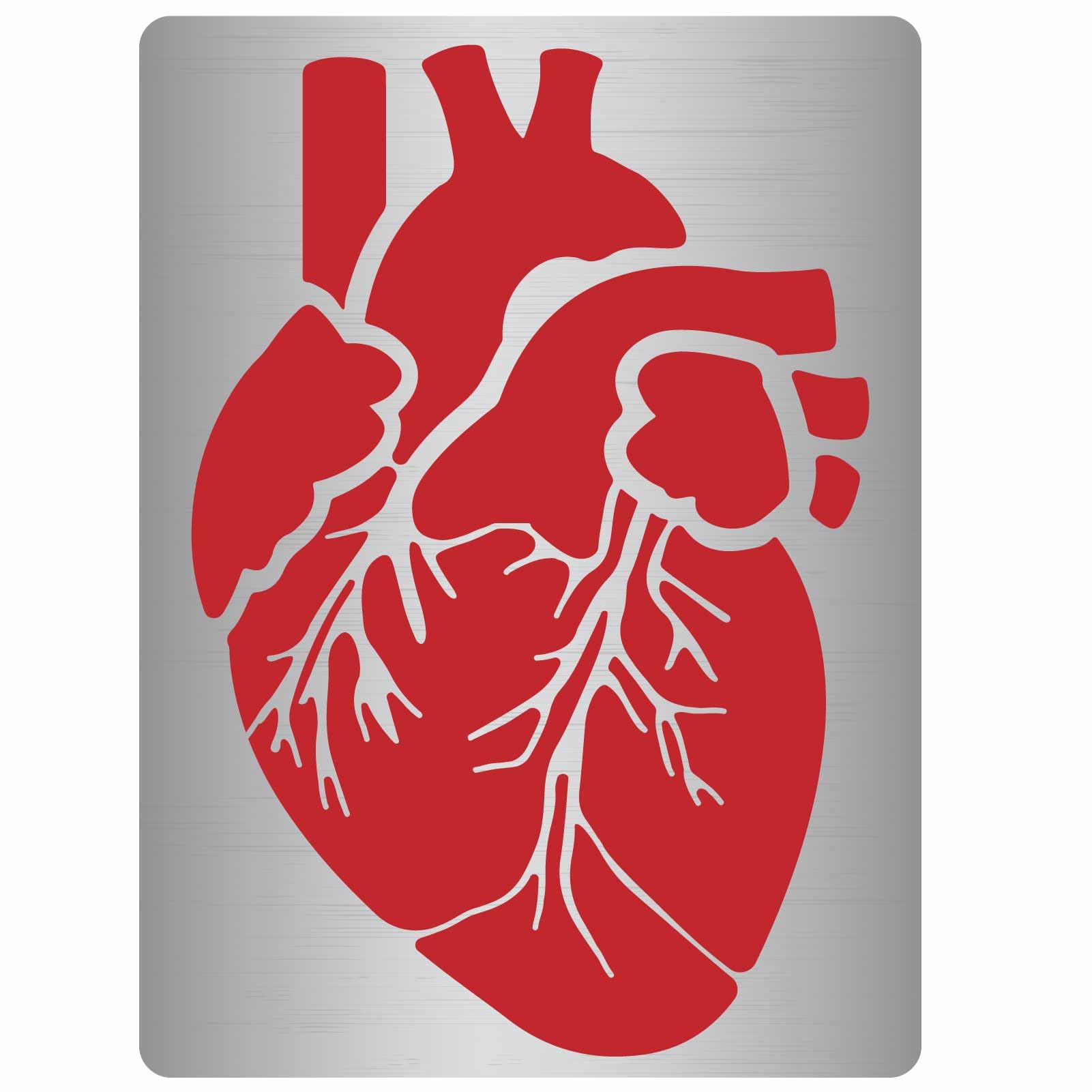 GORGECRAFT 19 x 14cm Heart Metal Stencil Human Body Internal Organs Stainless Steel Stencils Drawing Template Reusable for Painting Scrapbook Engraving Wood Burning Pyrography DIY Art Crafts