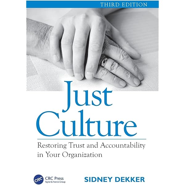 Amazon.com: The Feminism and Visual Culture Reader (In Sight