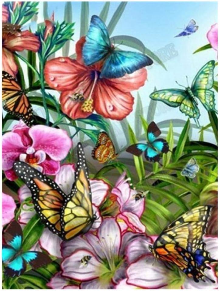 XXSCZ Malen nach Zahlen Schmetterling DIY Malen nach