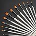 Artist Paint Brushes Set - 12 Piece - Filbert Golden Nylon Bristles - Professional Brush for Watercolor Acrylic, Gouache, Oil and Facepaint