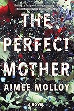 The Perfect Mother: A Novel