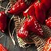 David's Garden Seeds Pepper Hot Bhut Jolokia (Ghost Pepper) SL2231 (Orange) 25 Non-GMO, Heirloom Seeds primary