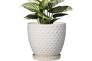 G EPGardening 6 Inch Ceramic Plant Pot with Drainage Hole and Saucer Round Planter Decorative Flower Plant Pot for Indoor Plants Outdoor White