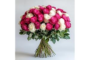 GlobalRose 50 Fresh Cut Roses (25 Hot Pink and 25 White) - Fresh Flowers Bouquet - Flowers for Mother's Day, Wedding, Birthday, Anniversary, Women's Day, or Home Decor (OM)