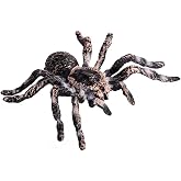 Realistic Giant Whiteknee Tarantula Figure, Lifelike Spider Animal Model | Bug Figure for Science Projects, Classroom Displays, Educational Activities, Nature Collections and Halloween Cake Decoration