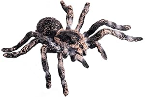 FLORMOON Realistic Animal Figures - Spider Action Model Lifelike Insect Toy Figures - Educational Learning Toys Birthday Set for Boys Girls Kids Toddlers (Giant Whiteknee)