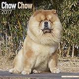 Chow Chow Dog Calendar 2017 - Chow Chow Calendar - Dog Breed Calendars - 2016 - 2017 wall calendars - 16 Month by Avonside