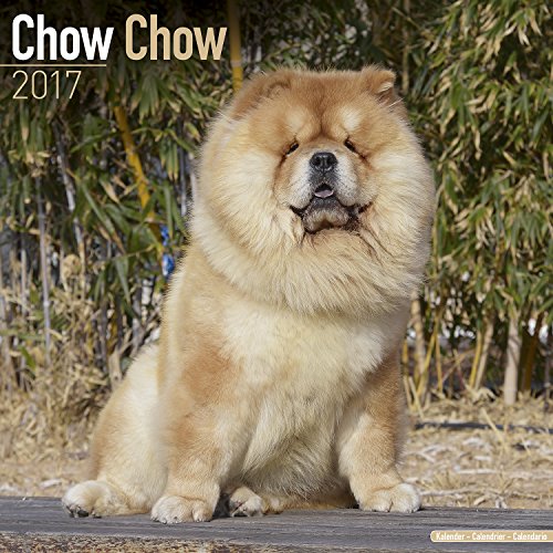 Chow Chow Calendar 2017 - Dog Breed Calendar - Wall Calendar 2016-2017