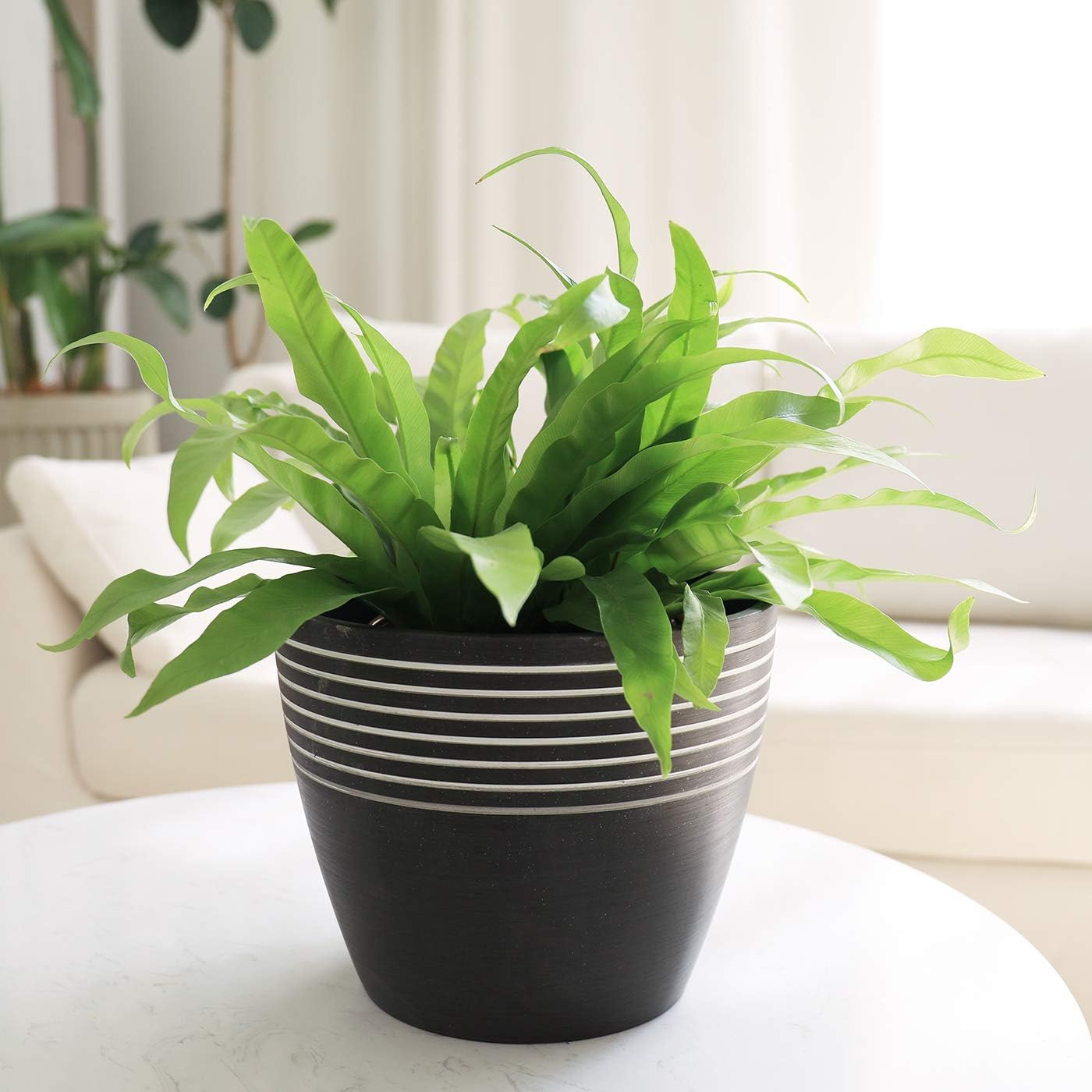 LA JOLIE MUSE Indoor Planter Flower Pot - Plant Pots for Indoor and Outdoor Plants, Contemporary Chic Planter with Stripe Pattern, 9.4 Inch, Charcoal & White : Garden & Outdoor