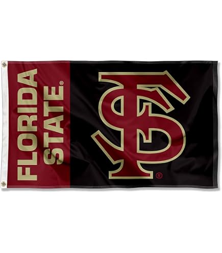 Desert Cactus Florida State University Seminoles Flag – 3x5 Ft, 100% Polyester, Officially Licensed