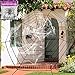 Pawliss Giant Spider Web with Super Stretch Cobweb Set, Halloween Decor Decorations Outdoor Yard, Round Dia. 9 Feet, Black