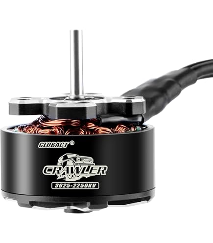 Amazon.com: RZXYLRC Heavy Duty LCG 2 Low Differential Gearbox