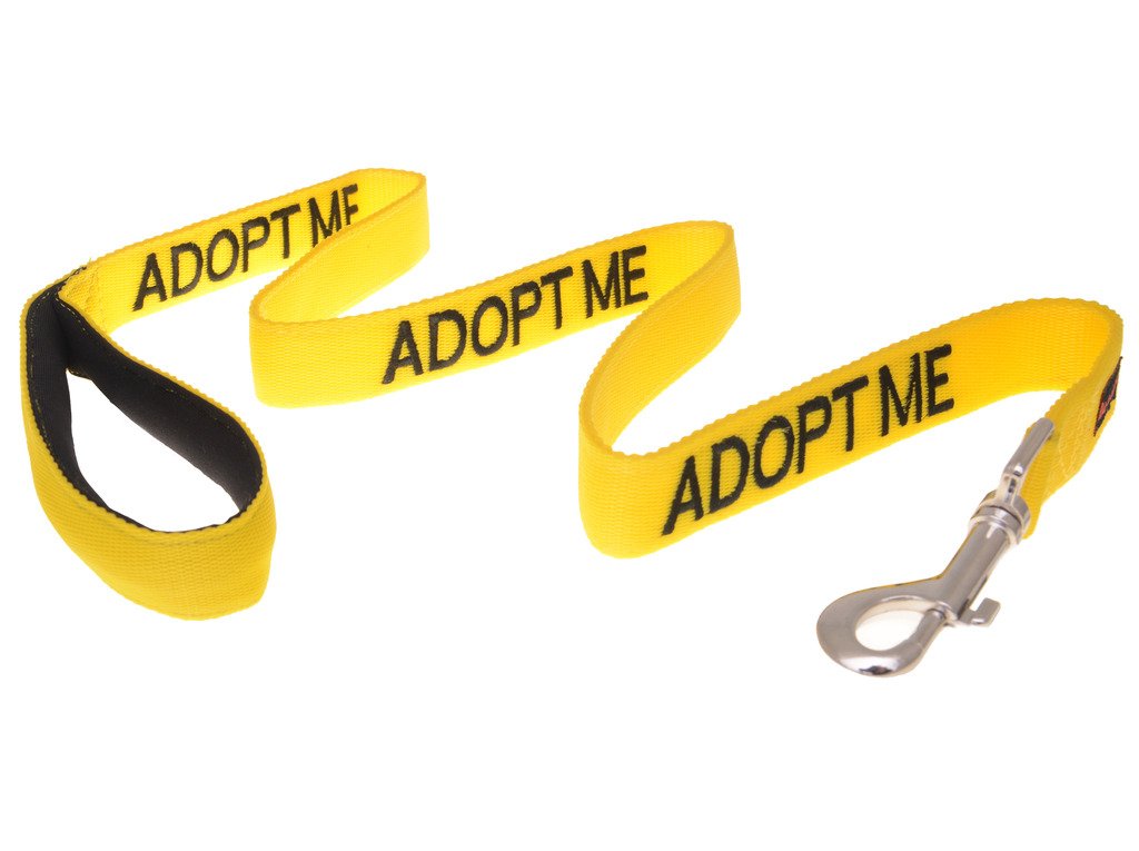ADOPT ME Yellow Color Coded 2 4 6 Foot Padded Dog Leash