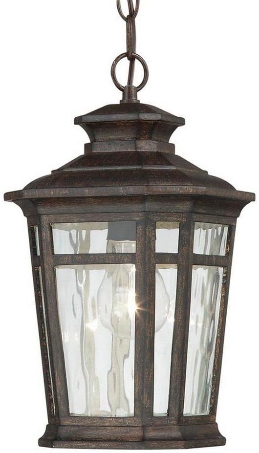 Home Decorators Collection 23124 Pendants & Hanging Fixtures Waterton 1-Light Outdoor