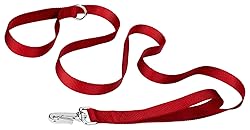 Country Brook Petz - Deluxe Nylon Dog Leash with