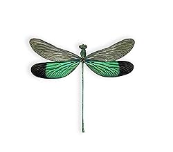 Real Dragonfly Specimen Artwork Decor Natural