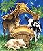 Born in a Manger 200 pc Jigsaw Puzzle