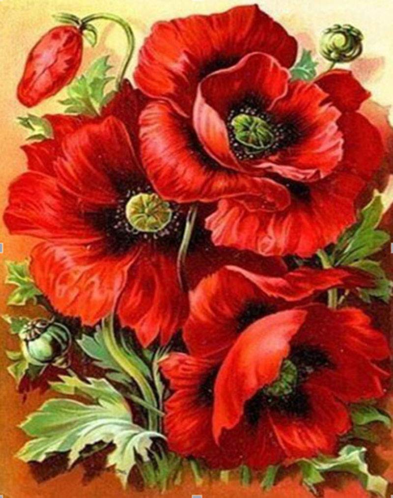 TAOGIFT DIY 5D Full Drill Diamond Painting by Number Kits Red Flower Arts Craft Canvas Paint with Diamonds Crystal Rhinestone Embroidery Painting for Home Wall Decor (40X30CM)