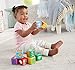 Fisher-Price Laugh & Learn First Words Animal Blocks