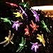 Joomer Dragon 20 LED Solar String Fairy Lights, 1PACK, Multi-Color