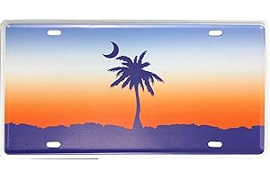 ROOKOPR South Carolina License Plate Aluminum Novelty Car Decor License Plates 12"x6" Front of Car Decorative Retro Rusty License Plate for Men Women Car-40