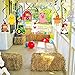 Farm Birthday Party Supplies,Hanging Swirls Barnyard Party Decorations for Barnyard Birthday Party Supplies Farm Animal Party Supplies