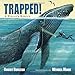 Trapped! A Whale's Rescue