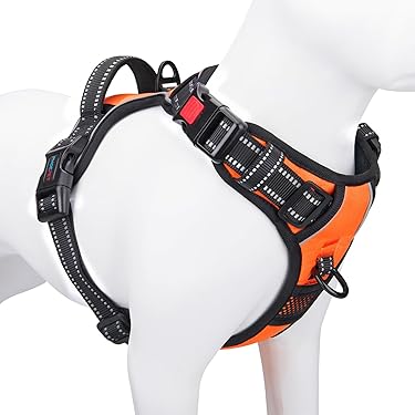 and super stretchy squeaky toy for dogs Carrot Squeaky Plush Toy Dog Interactive Toy main image 0