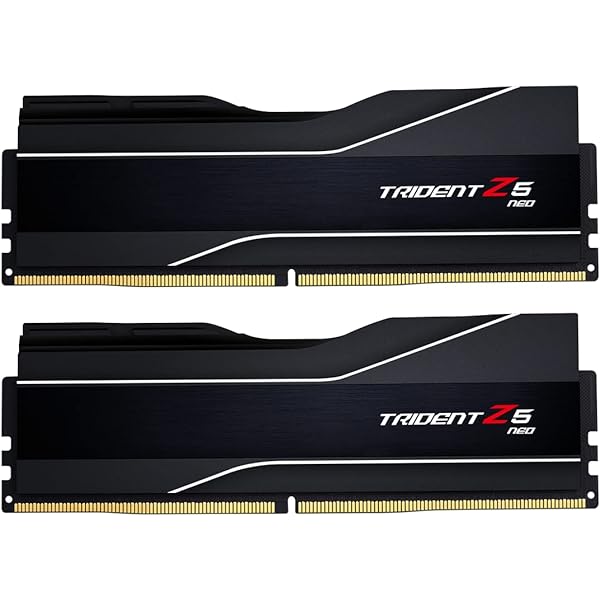 G.SKILL Trident Z5 Neo RGB Series DDR5 RAM (AMD EXPO) 32GB (2x16GB