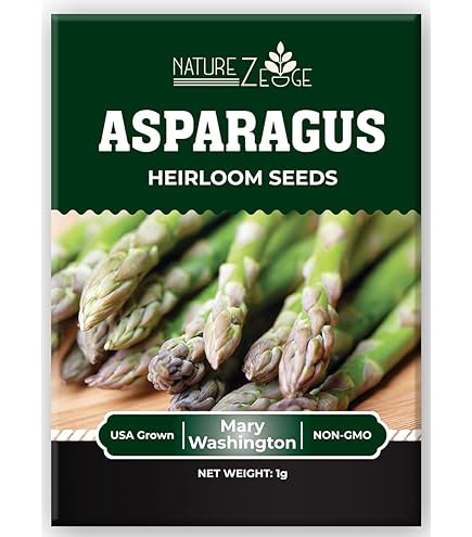ASPARAGUS 「#1 / モメント」 51VZA8qPT2L._UF350,350_QL50_.jpg