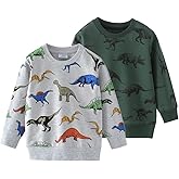 AQEACARMON Baby Boy Dinosaurs Round Neck Cotton Long Sleeve Pullover Sweatshirt