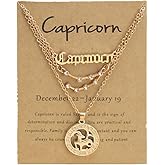 Gold/Silver Zodiac Necklace 12 Constellation Astrology Card Packaging Horoscope Charm Necklace Set for Women Birthday Anniversary Jewelry Gift