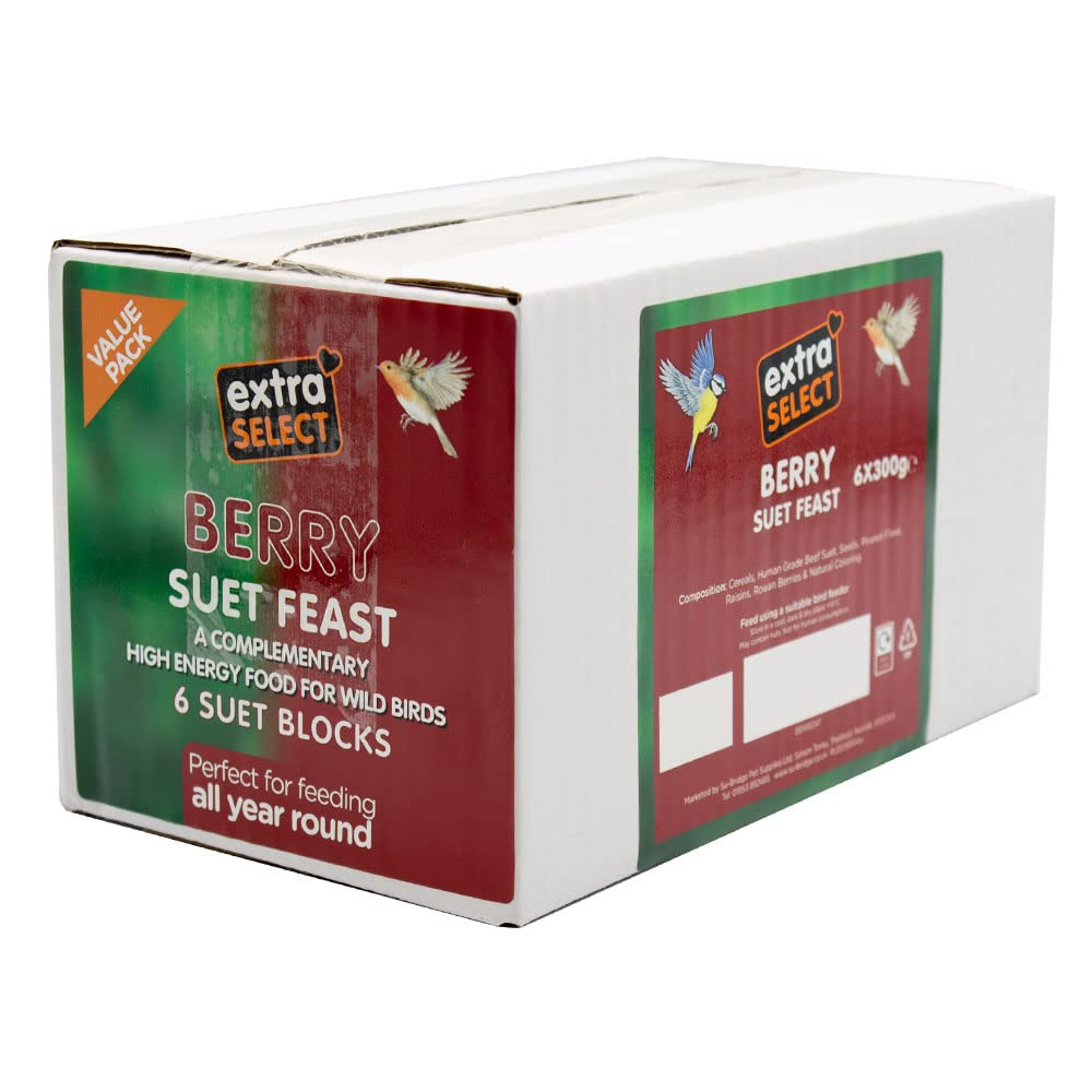 Extra Select Wild Bird High Energy Berry Suet Blocks 6x300gm