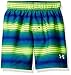 Under Armour Boys' Pulse Stripe Volley Swim Short
