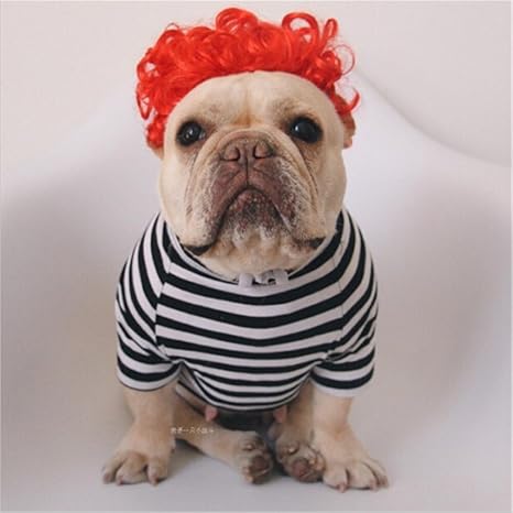 Dolland Wigs For Pets Dogs Cats Hair Costume Cosplay Pet Hair