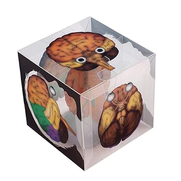 VIPECO DIY Assembled Human Brain Cube Model Small Experimental Material Package Reliable Quality and Durable